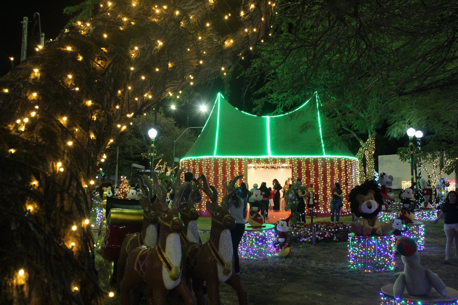 20251114195249_IMG_6647 (1)