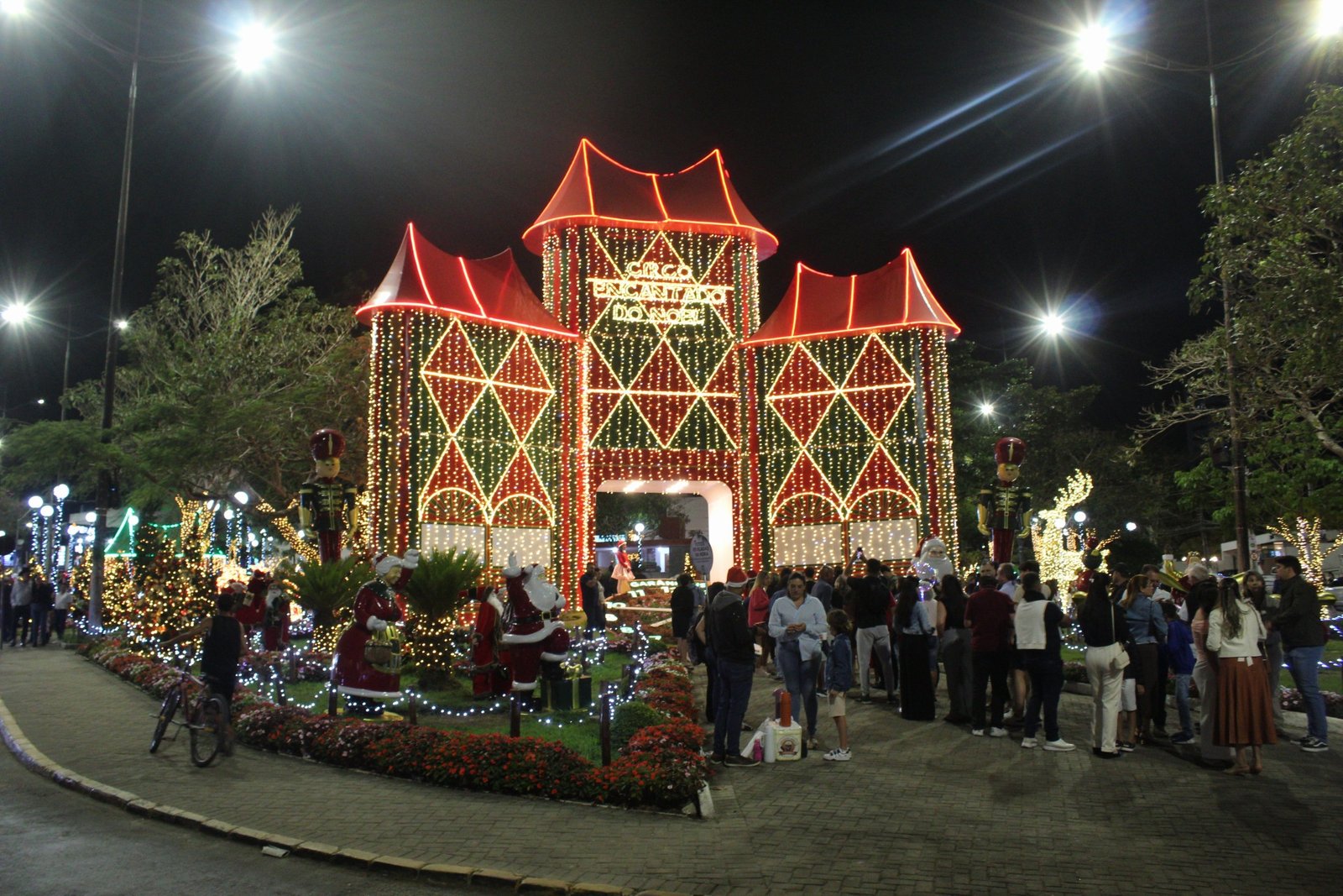 20251114195603_IMG_6652 (1)