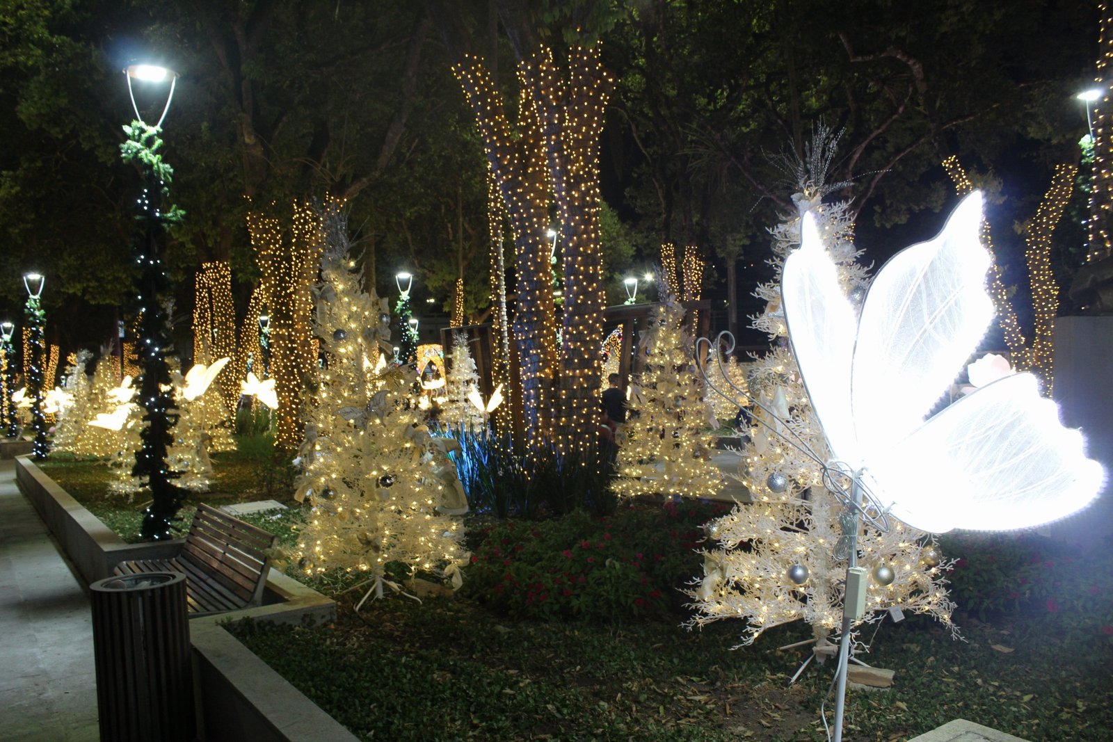 20251114204219_IMG_6681 (1)