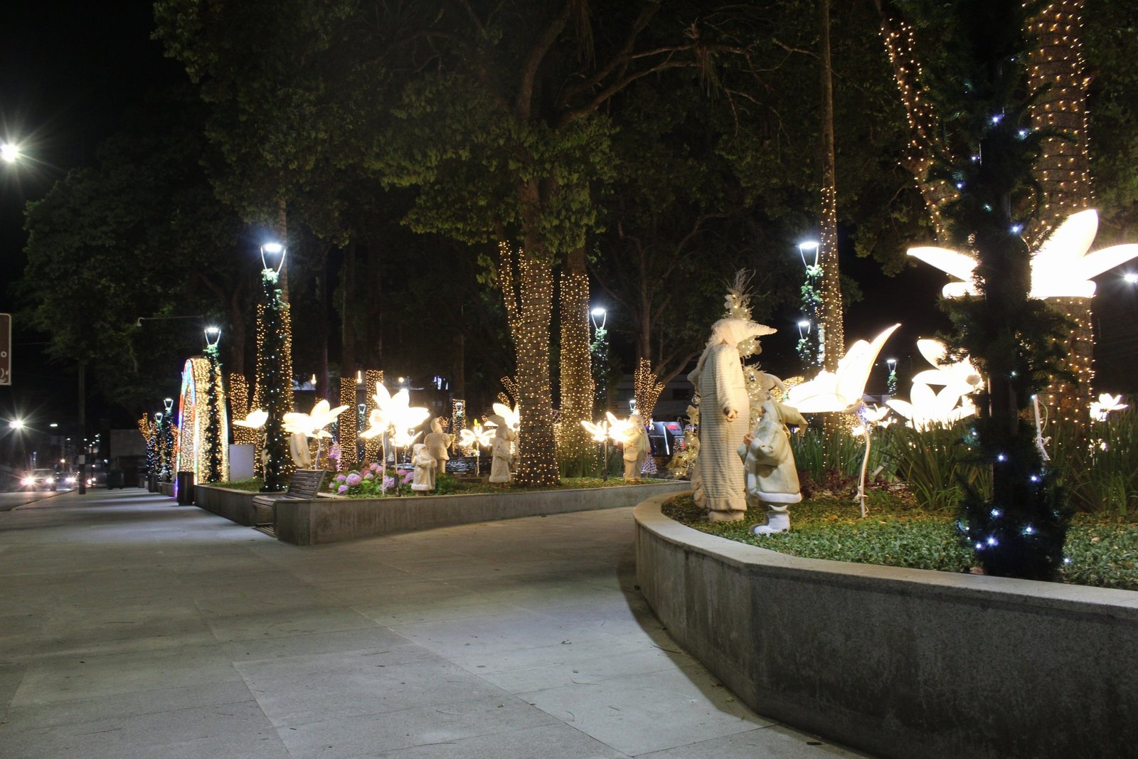 20251114204246_IMG_6682 (1)