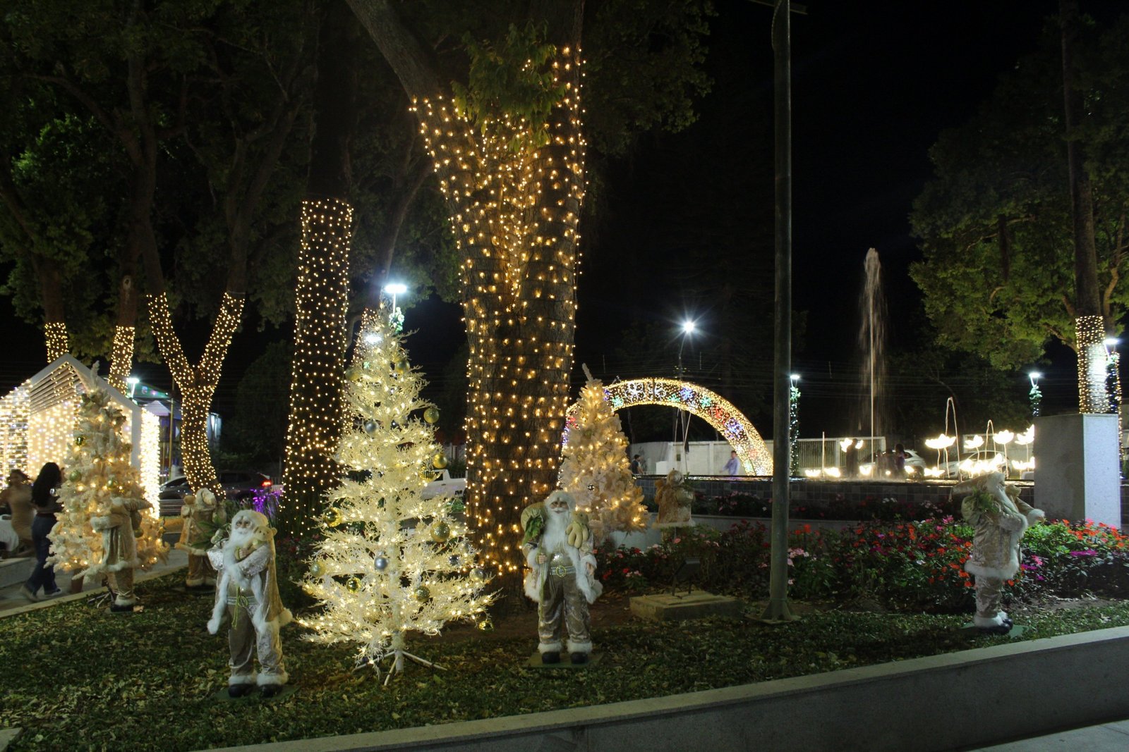 20251114204355_IMG_6685 (1)