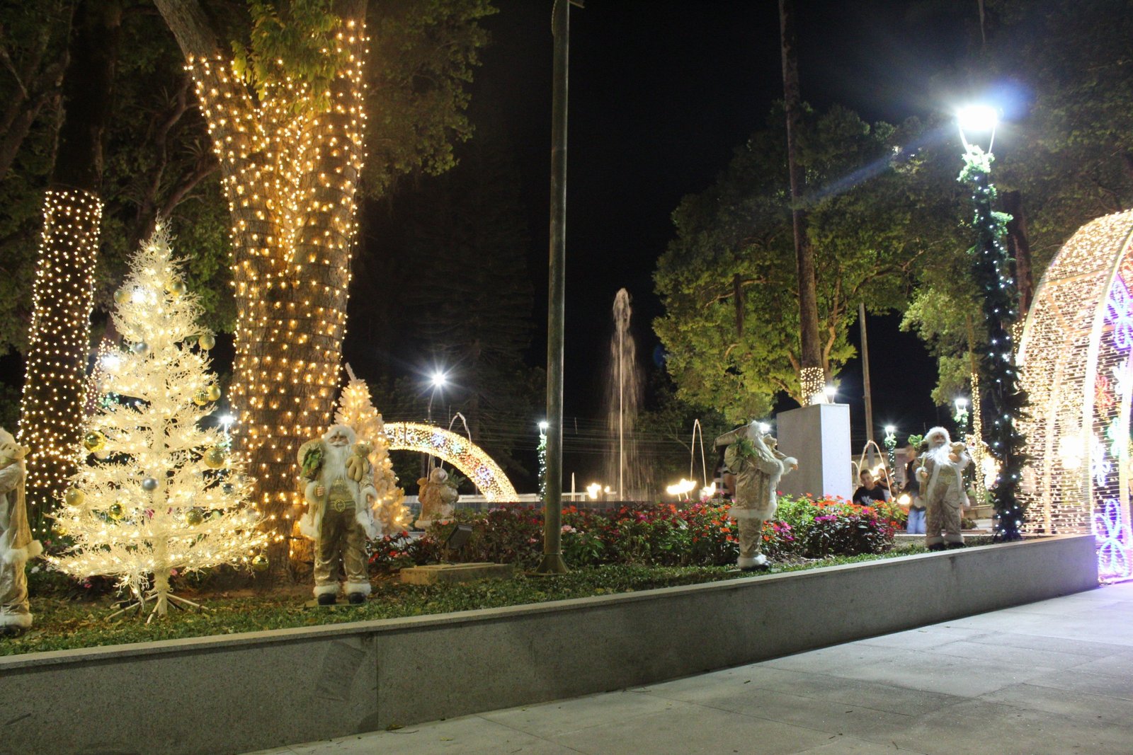 20251114204405_IMG_6686 (1)